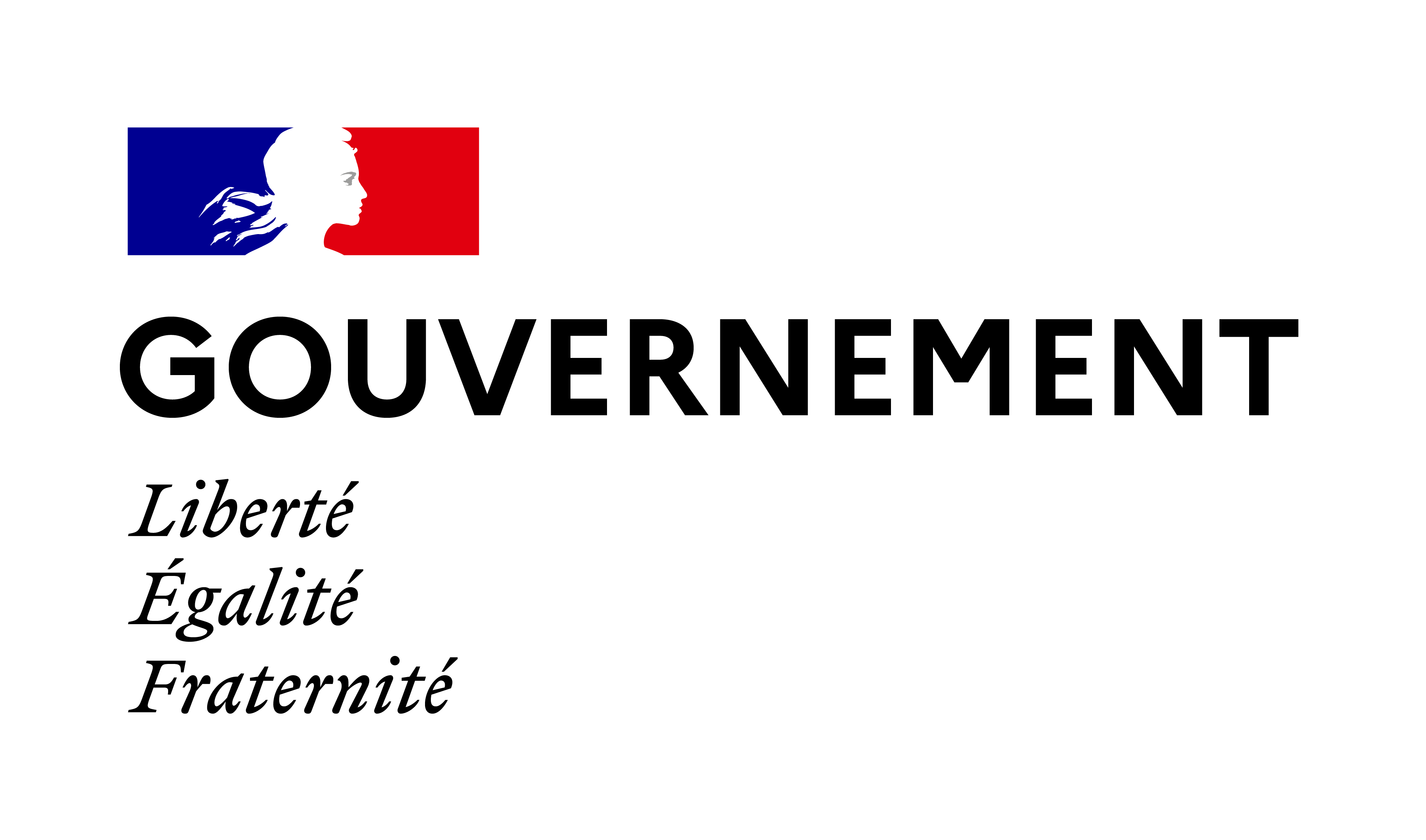 Gouvernement français
